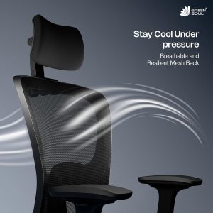 Ergonomic Mesh Office Chair